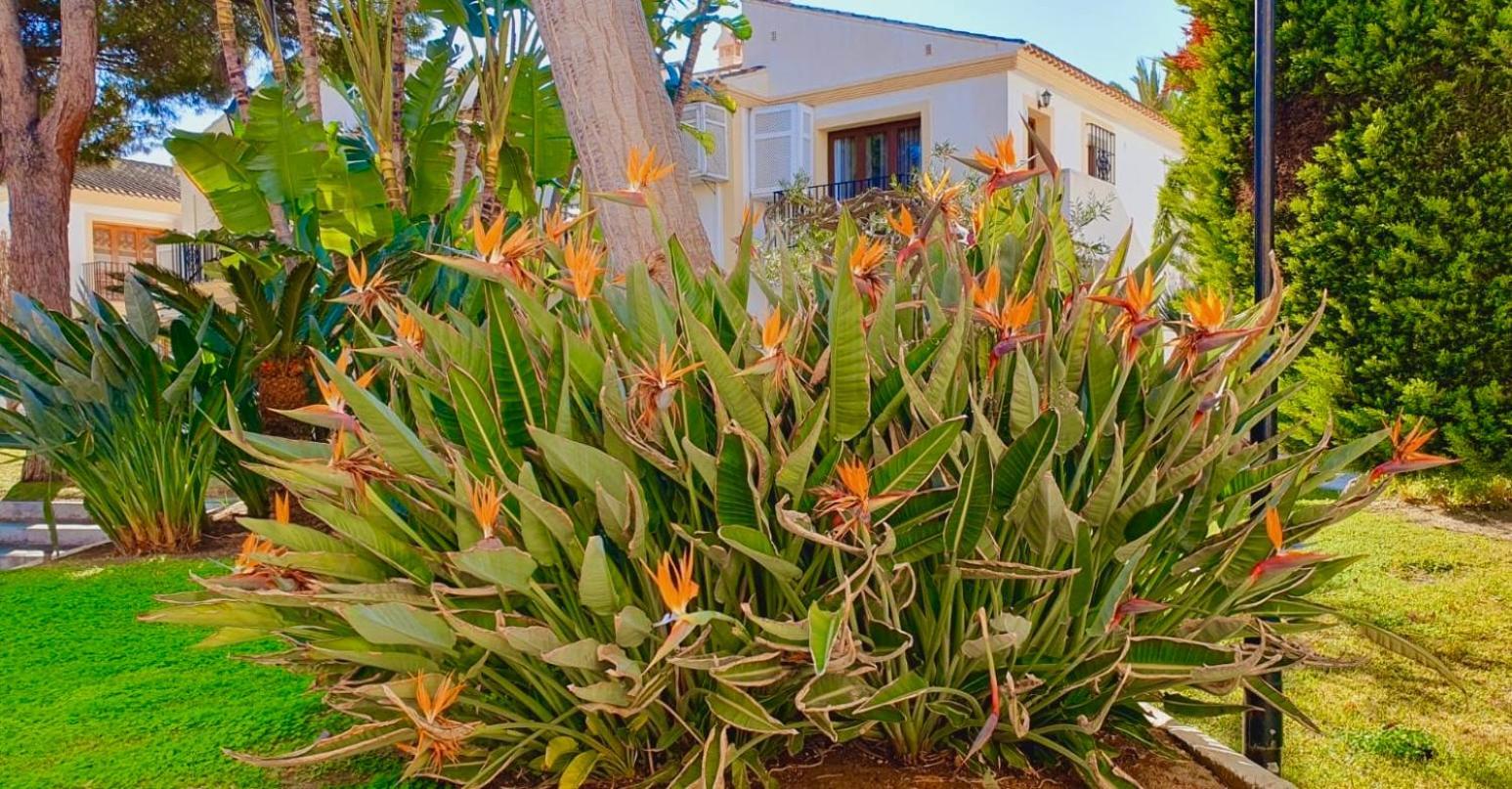 Casa Veranera Vera Costa Playas de Vera 外观 照片
