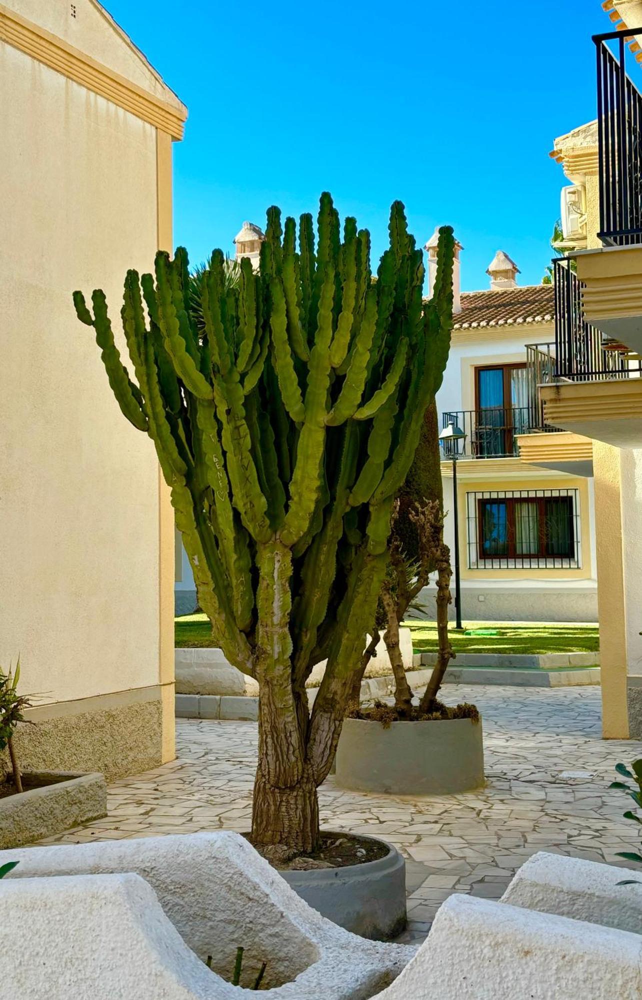 Casa Veranera Vera Costa Playas de Vera 外观 照片