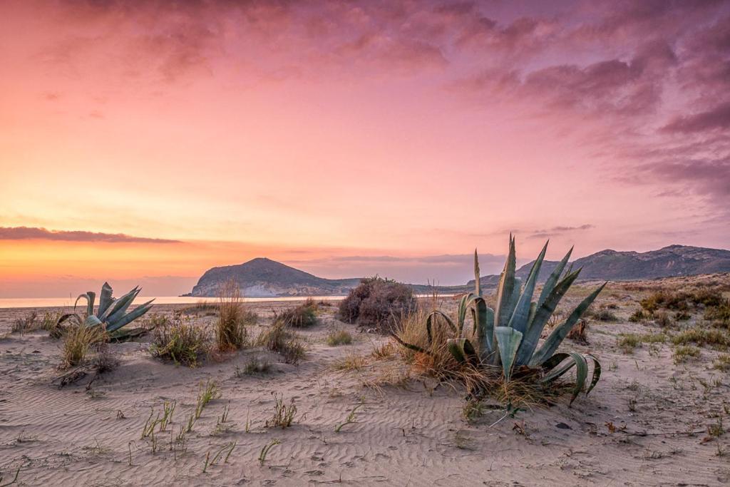 Casa Veranera Vera Costa Playas de Vera 外观 照片
